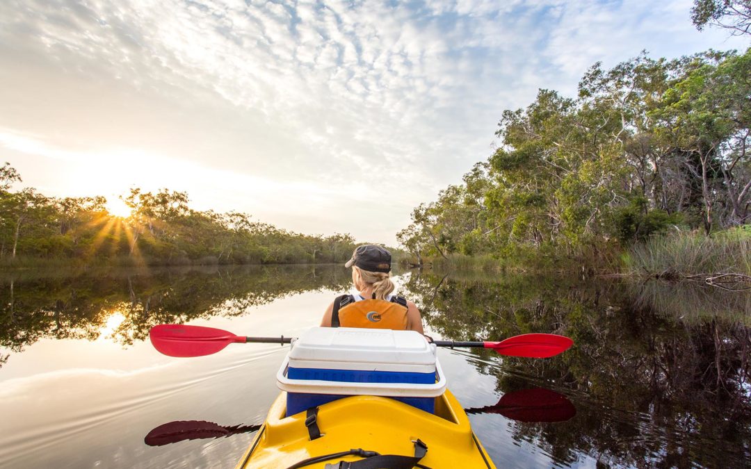 Reflections from an overnight kayak safari in the Noosa Everglades