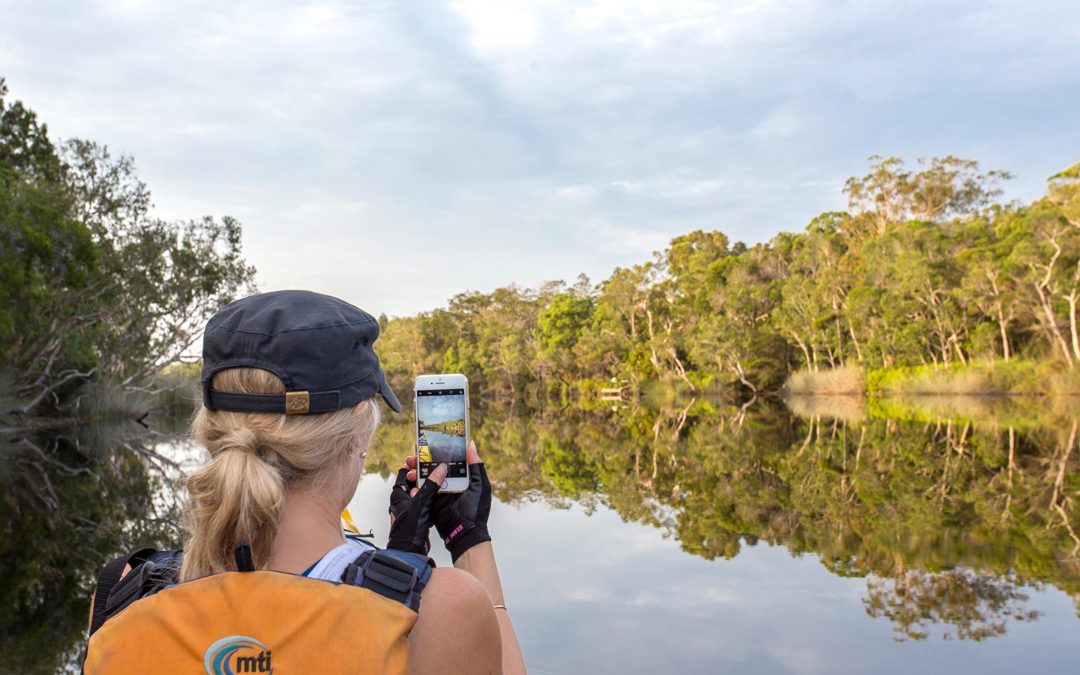 The Noosa Everglades