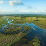 Florida Everglades