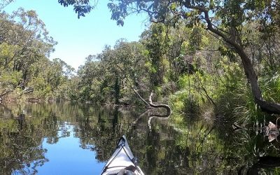 How Do You Get to the Noosa Everglades?