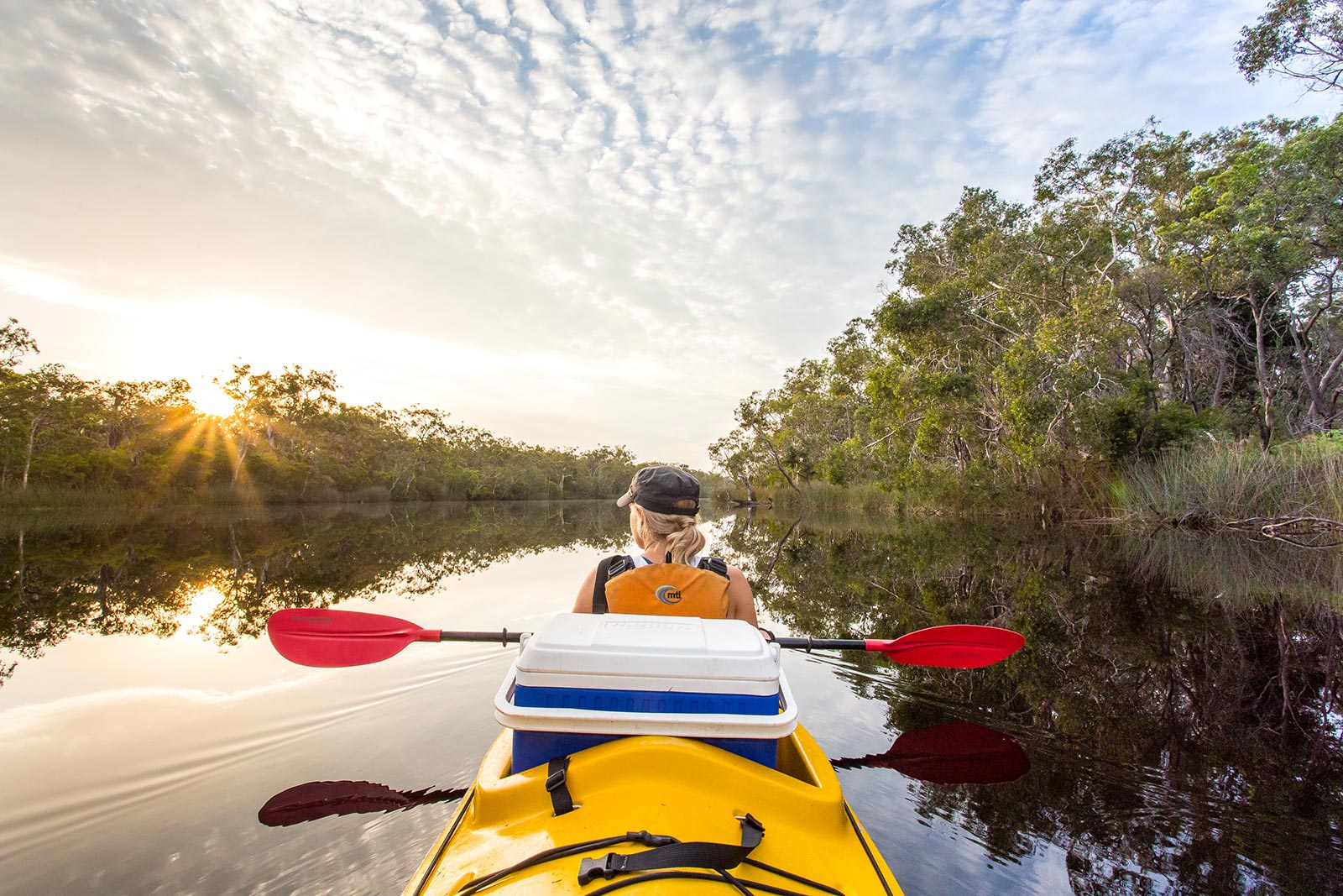 Kayak tours noosa