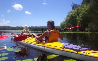 5 reasons to Kayak the Noosa Everglades & How to do it Responsibly