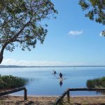 group kayak tours