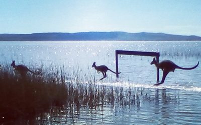 Eco Tourism in the Noosa Everglades