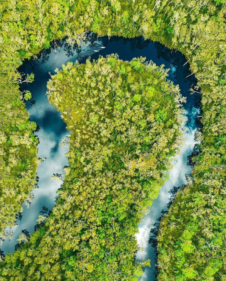 Noosa Everglades Wilderness