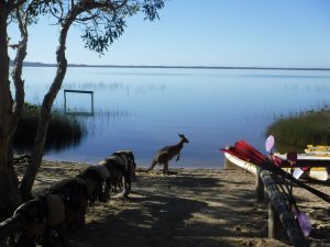 group kayak tour