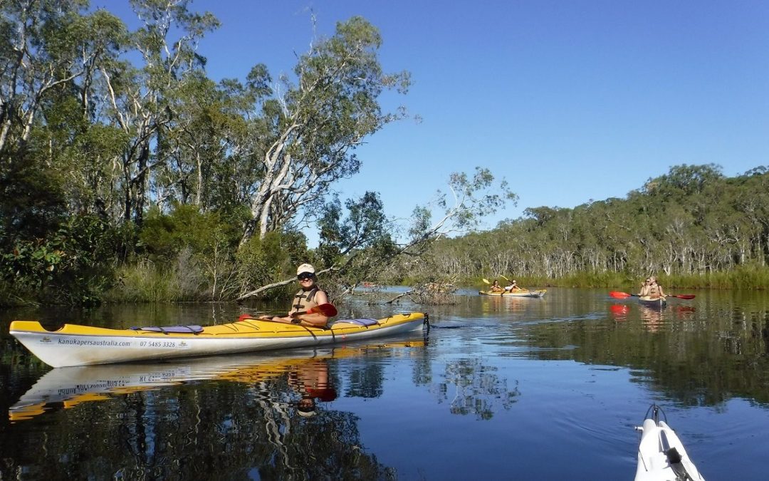 Business group kayak tours