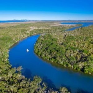 Noosa Everglades Wilderness