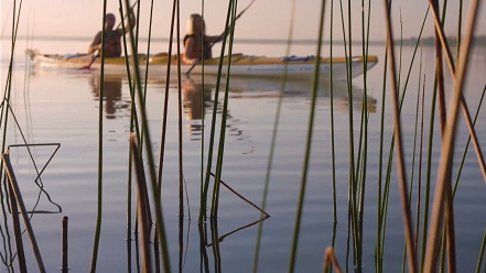 Noosa Everglades kayak