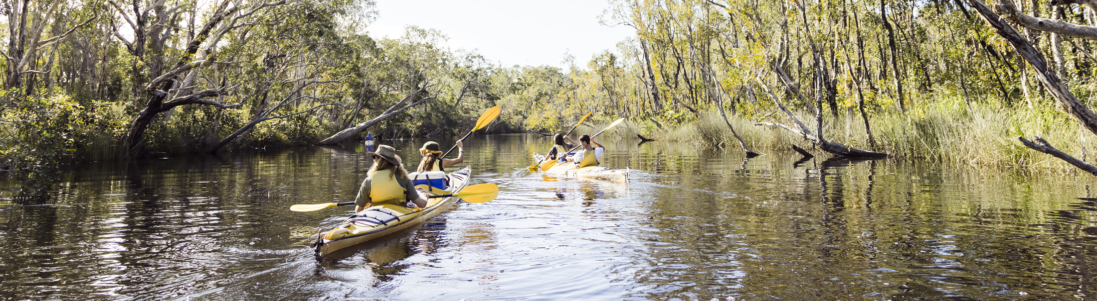 One Day Tour Noosa Everglades