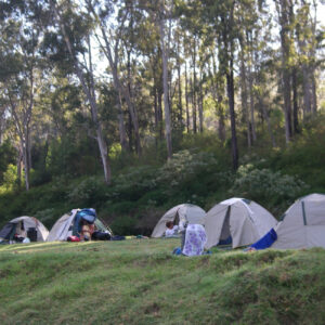 noosa everglades school camps