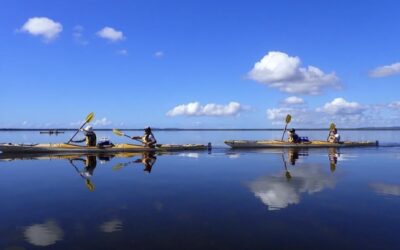 How Long Does it Take to Kayak the Noosa Everglades?